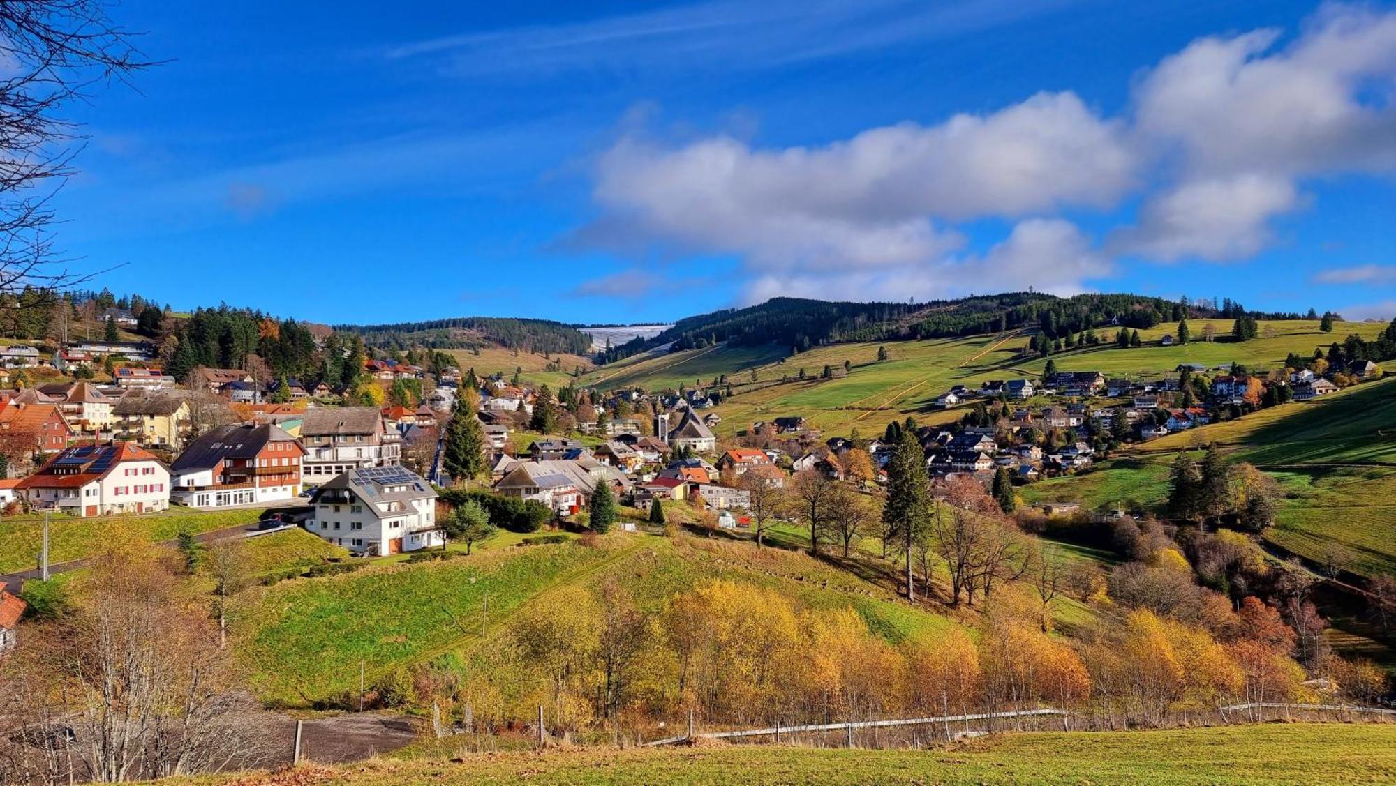 "Schwarzwaldblick" Ferienwohnung 2-4 Pers 65Qm, Schoene Ruhige Suedhanglage Mit Herrl Aussicht Тодтнау Екстериор снимка