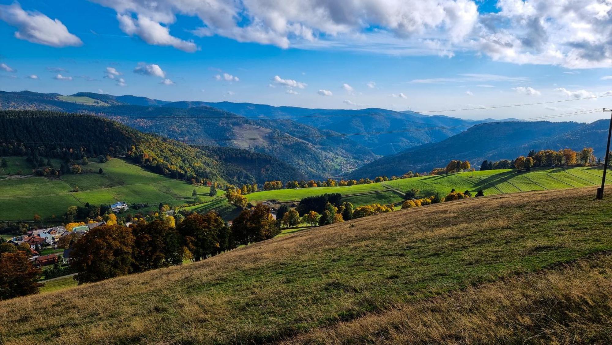 "Schwarzwaldblick" Ferienwohnung 2-4 Pers 65Qm, Schoene Ruhige Suedhanglage Mit Herrl Aussicht Тодтнау Екстериор снимка
